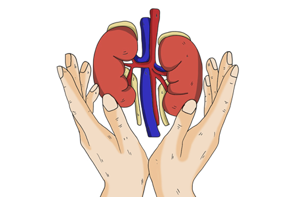 动不动就跑厕所,一喝水就频繁跑厕所是肾的原因吗