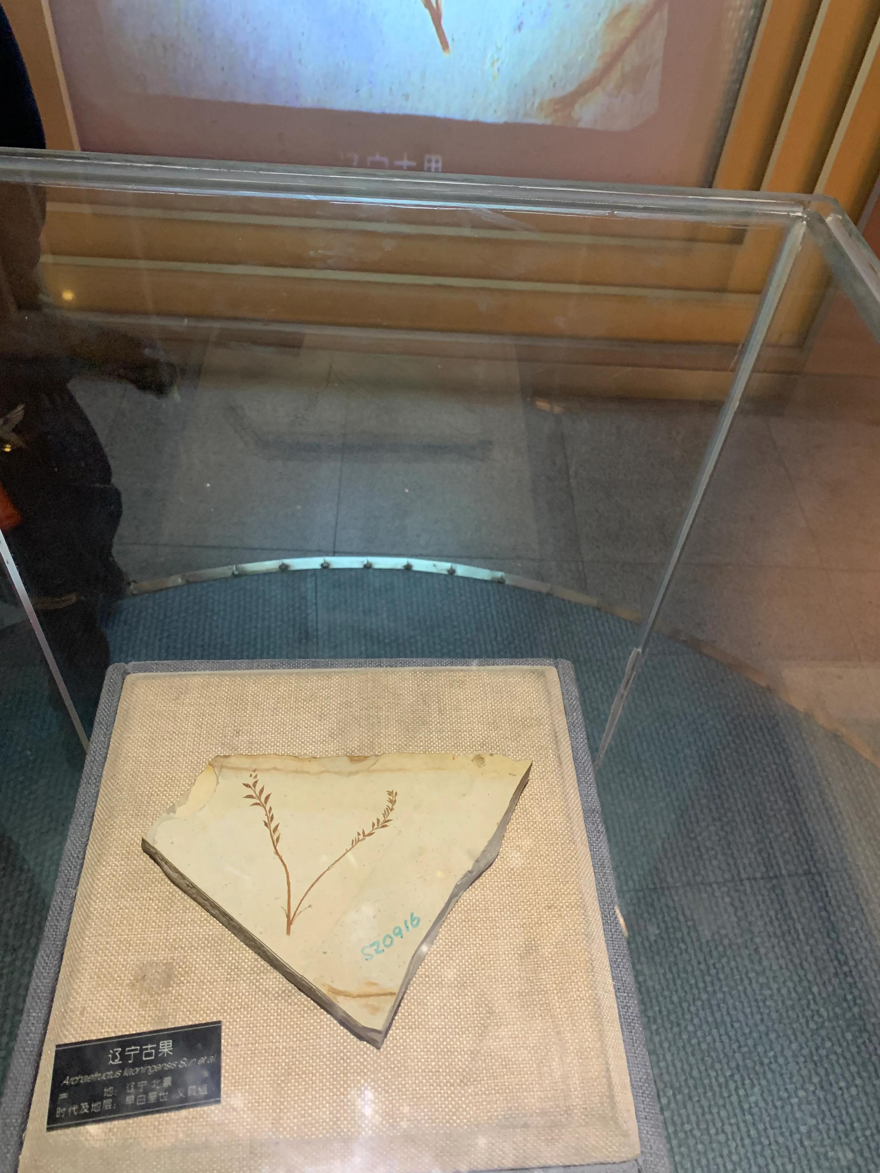 辽西自驾游一日游攻略,辽西自驾游一日游