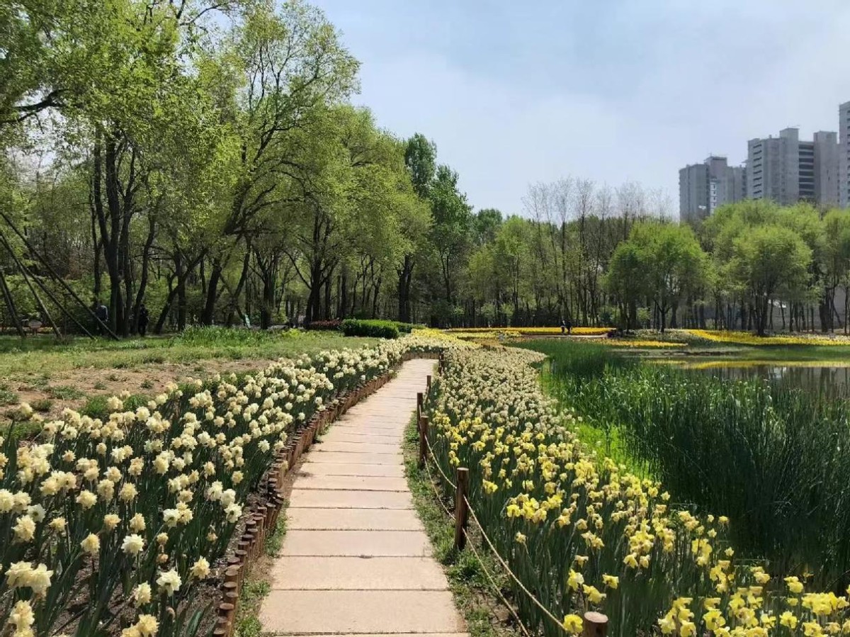 万科公园城市旁的公园,万科公园大道胶州小户型