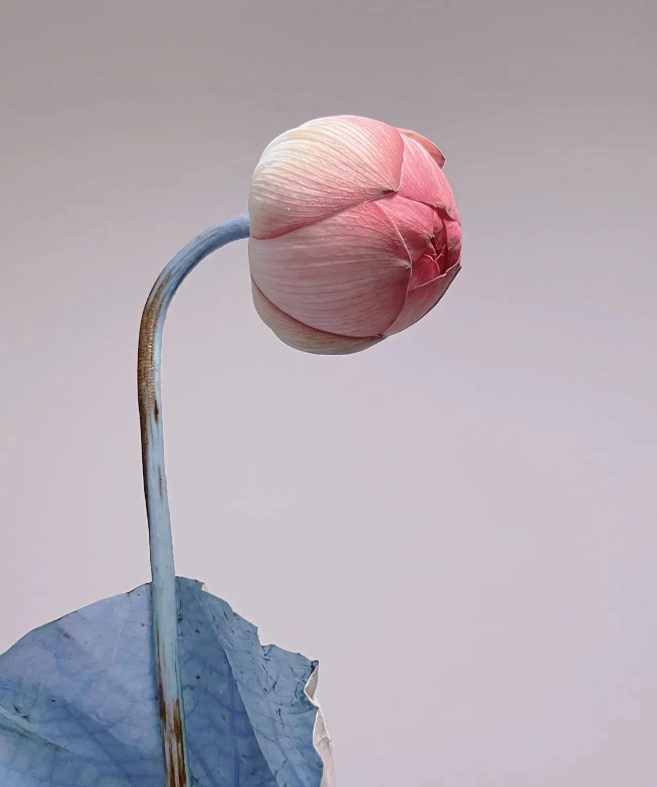 提升赚钱能力的九个思维方式,赚钱的五个境界