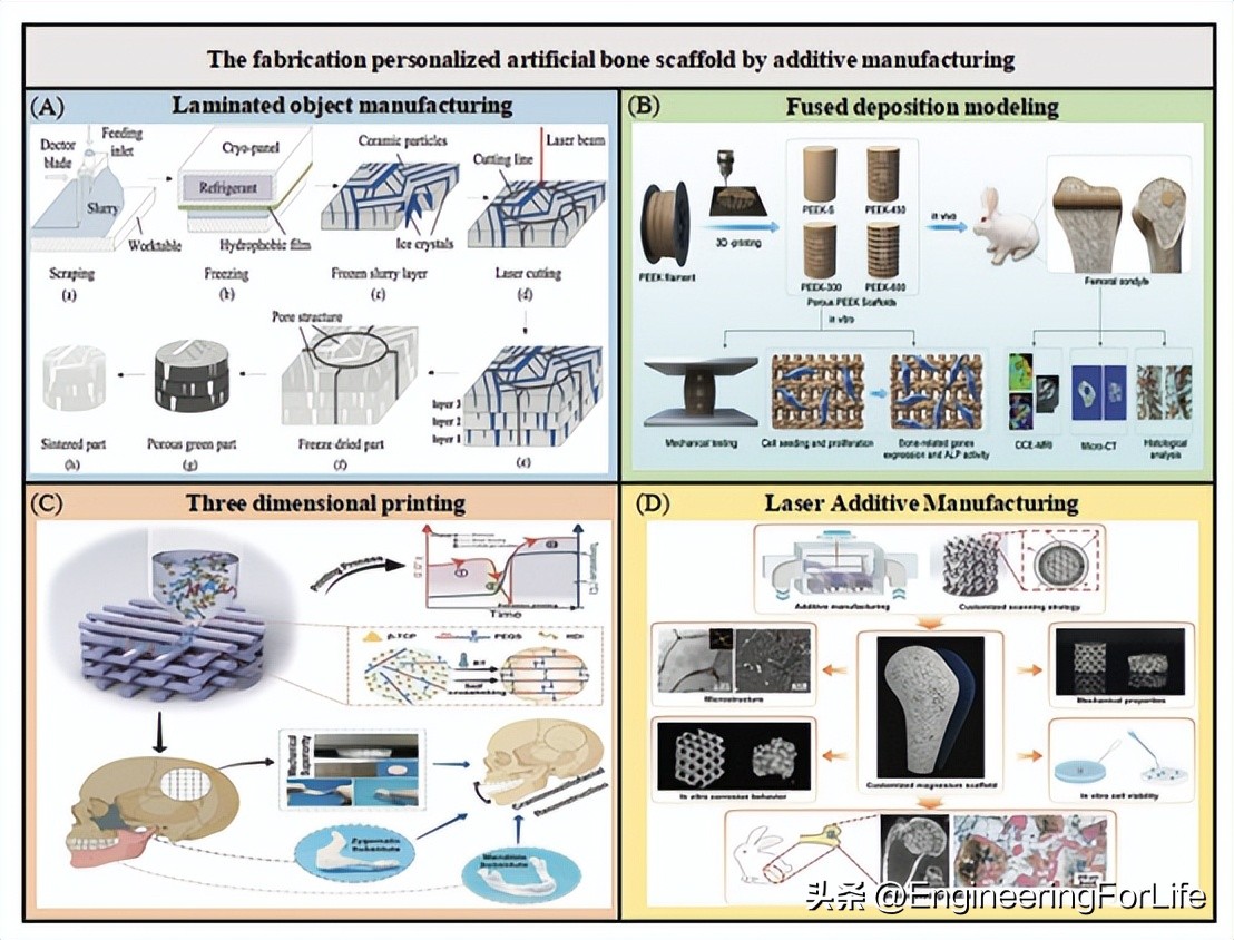人造骨骨移植研究进展！面临三大挑战并进行未来展望