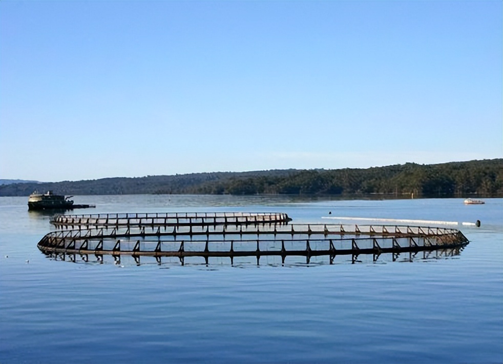二氧化氯水产养殖使用注意事项,二氧化氯在水产养殖中的使用方法