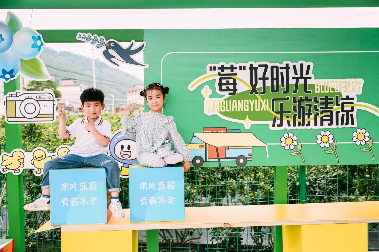 蓝莓文化艺术节,福建永泰蓝莓节