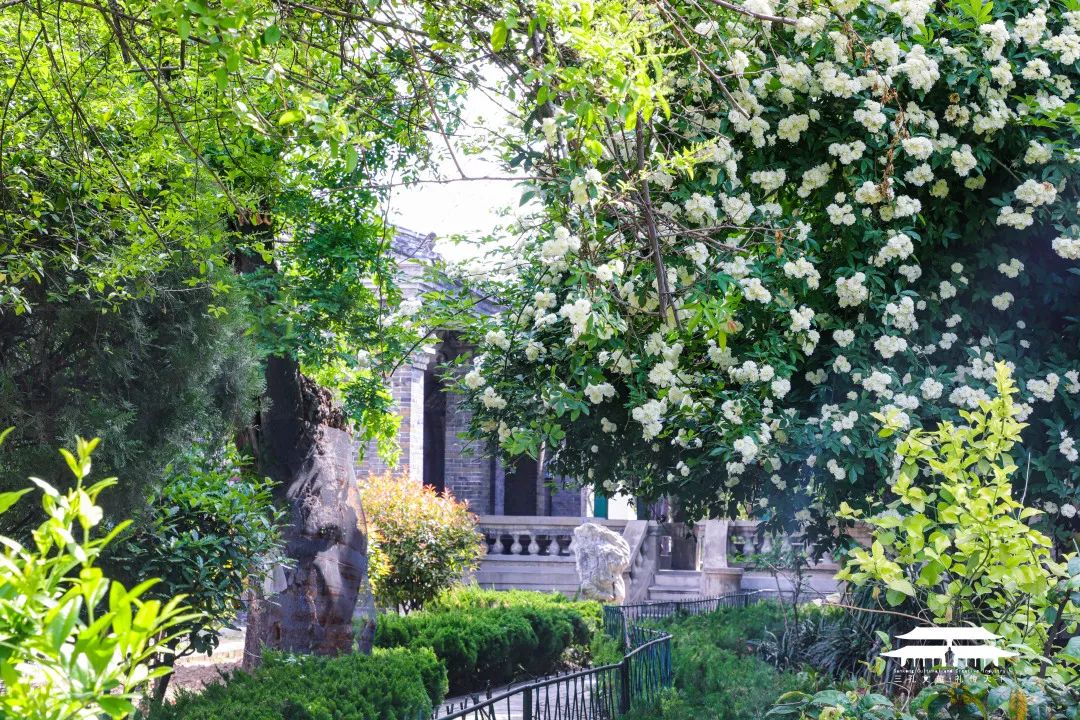 孔府旅游攻略全集,孔府周边旅游攻略推荐一日游