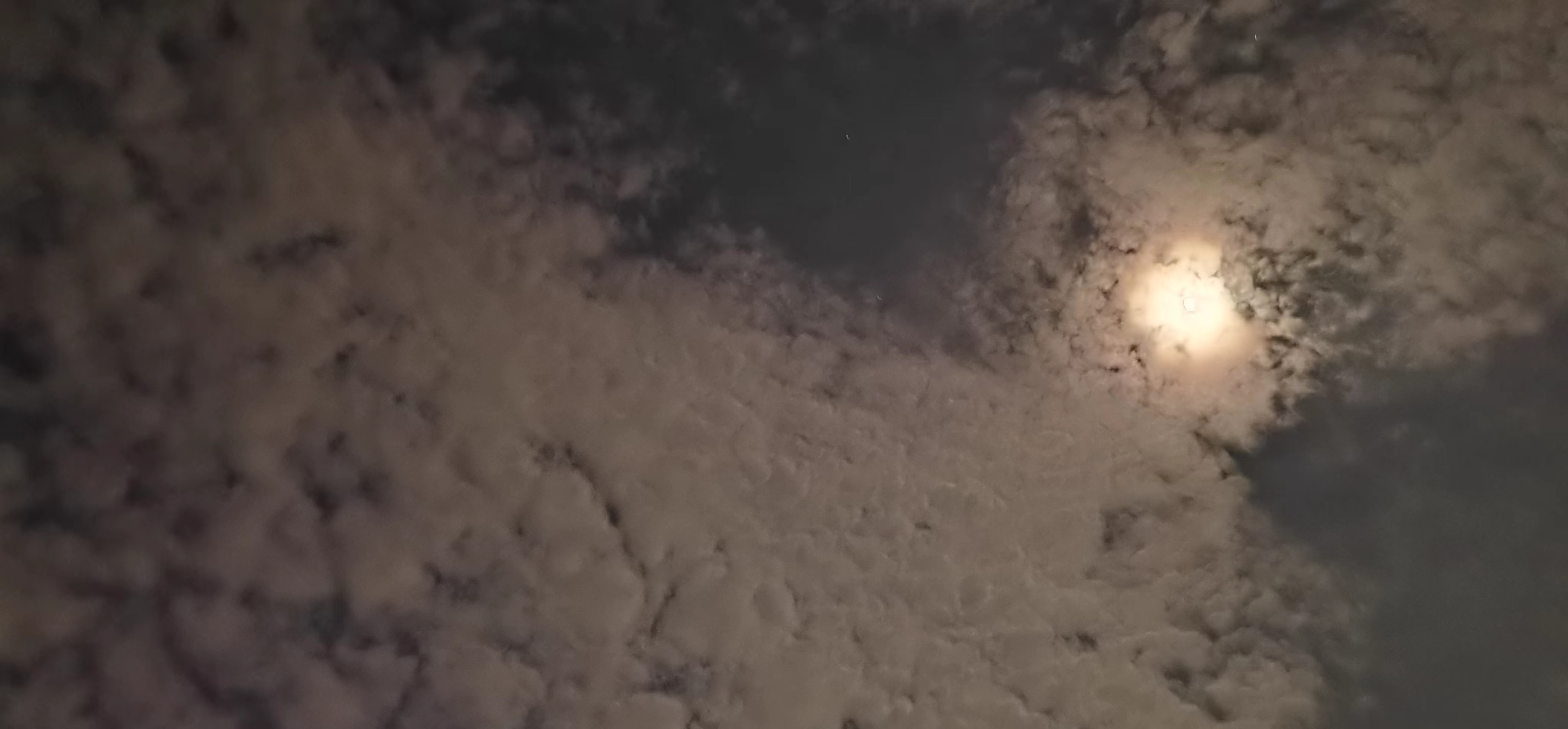 鎴戝緱浜嗚偤缁撴牳涓轰粈涔堟祽韬柤,鎴戝緱浜嗚偤缁撴牳浼氫紶缁欏瀛愬悧