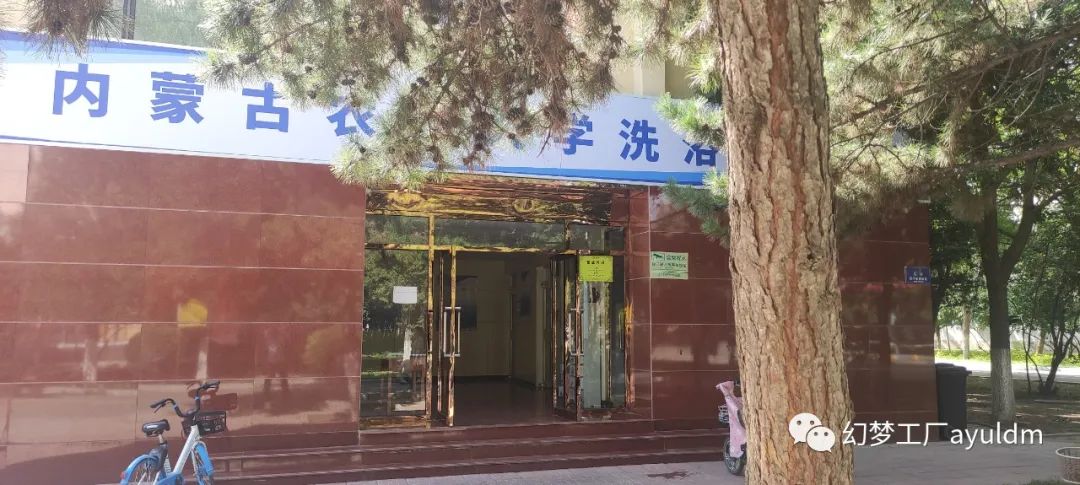 你好母校作文800字,你好母校作文