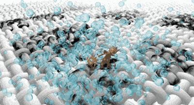 为什么衣服洗后有霉味,为什么衣服洗干净还有股霉味