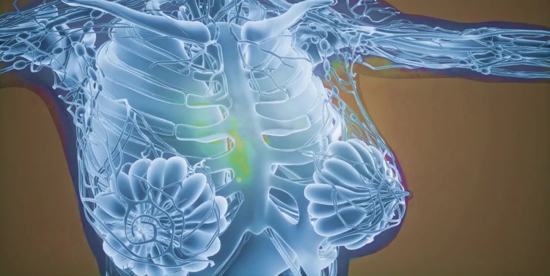 乳腺癌靶向药用后腰疼是什么情况,乳腺癌靶向治疗期间可以吃中药吗