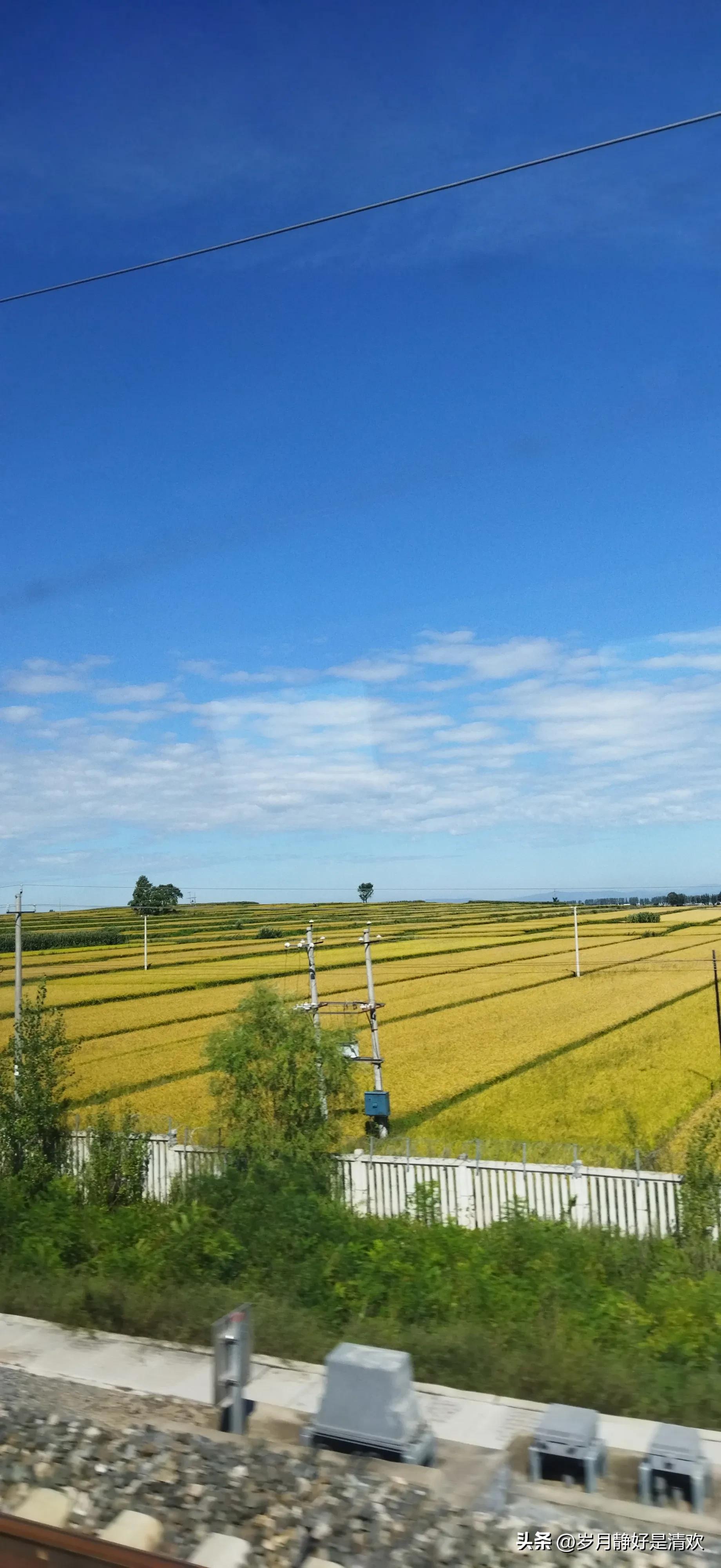 一样的家长群,不一样的结局