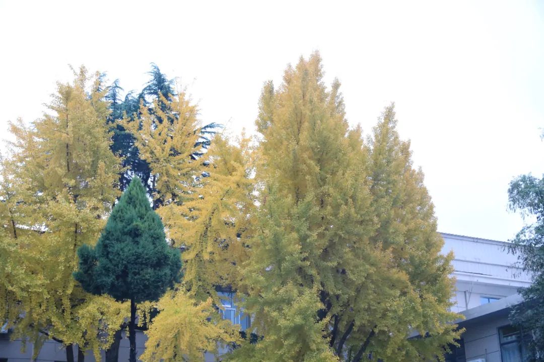 濮阳市人民医院住院部科室分布,濮阳县人民医院领导班子