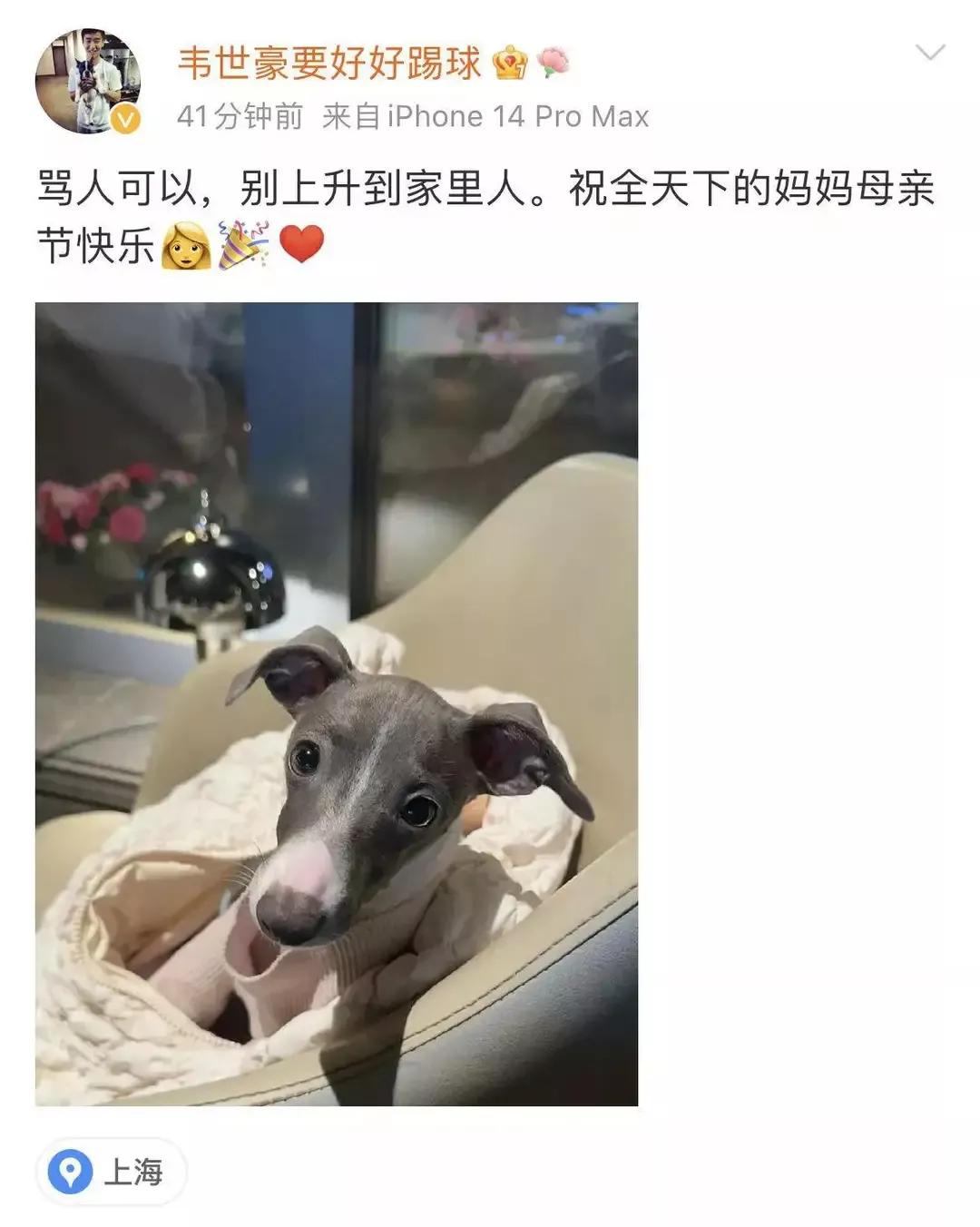 一杯水10块办联赛挺赚钱，泰山要换个活法，说好的佩雷拉呢