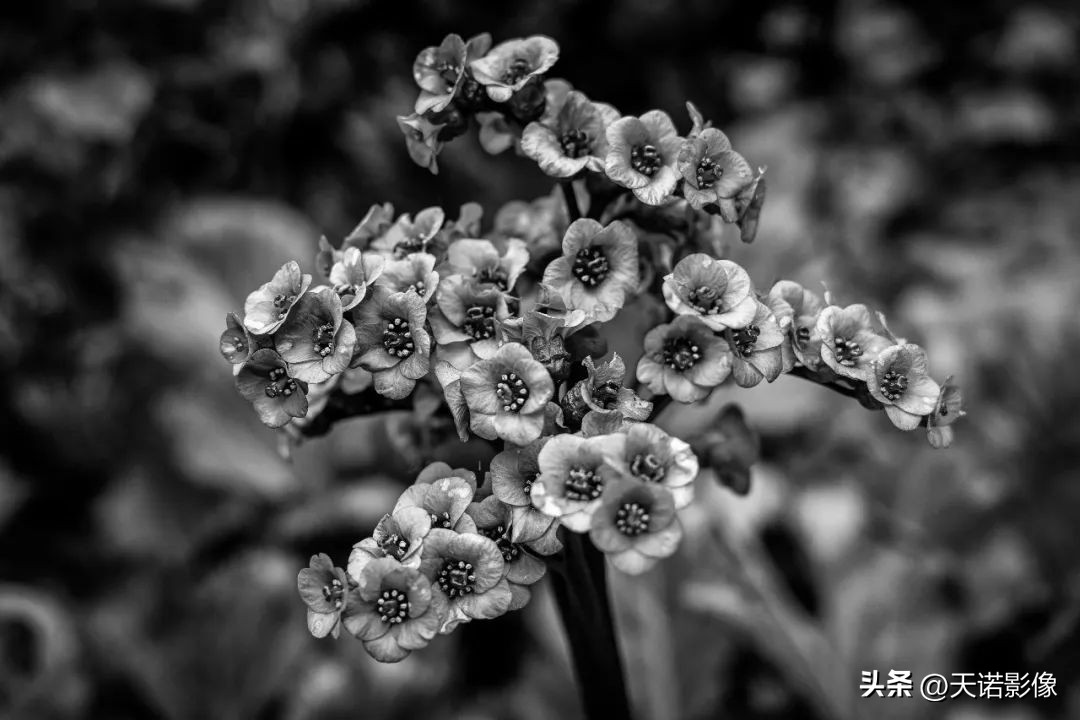 理光GRⅢGRⅢx为什么要双持?