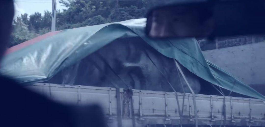 闊╁浗涓у案宸呭嘲澶т綔,鏈熷緟鍊兼媺婊＄殑缁撳熬