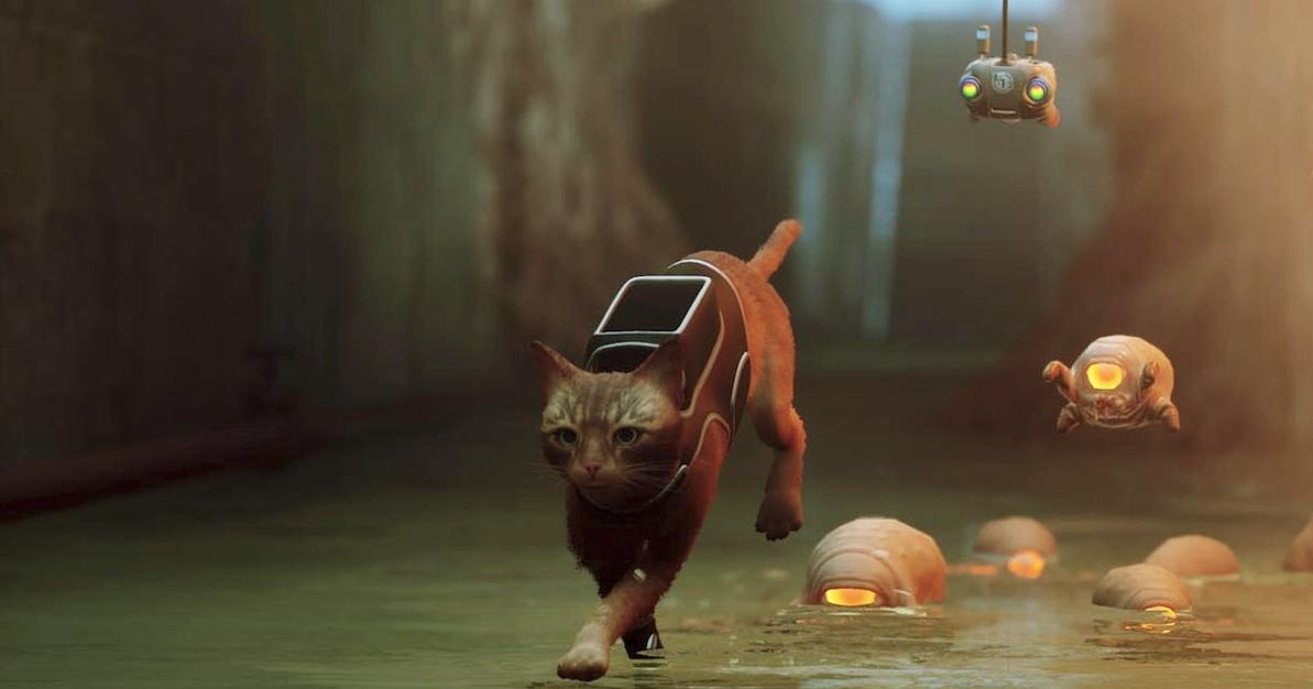 流浪猫模拟器要怎么玩,流浪猫模拟器是什么游戏