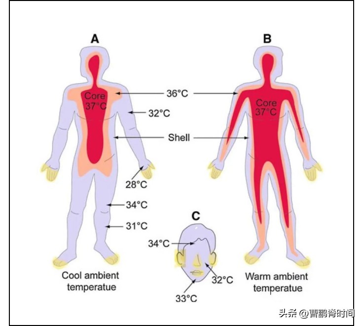 热射病先兆表现及急救措施,最严重热射病如何急救