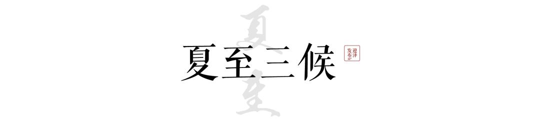 节气夏至已至向阳而生,节气夏至一切如约而至