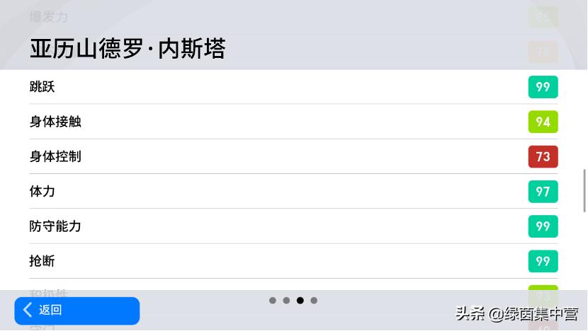 内斯塔受伤集锦高清图片,2006年世界杯内斯塔换下场图片