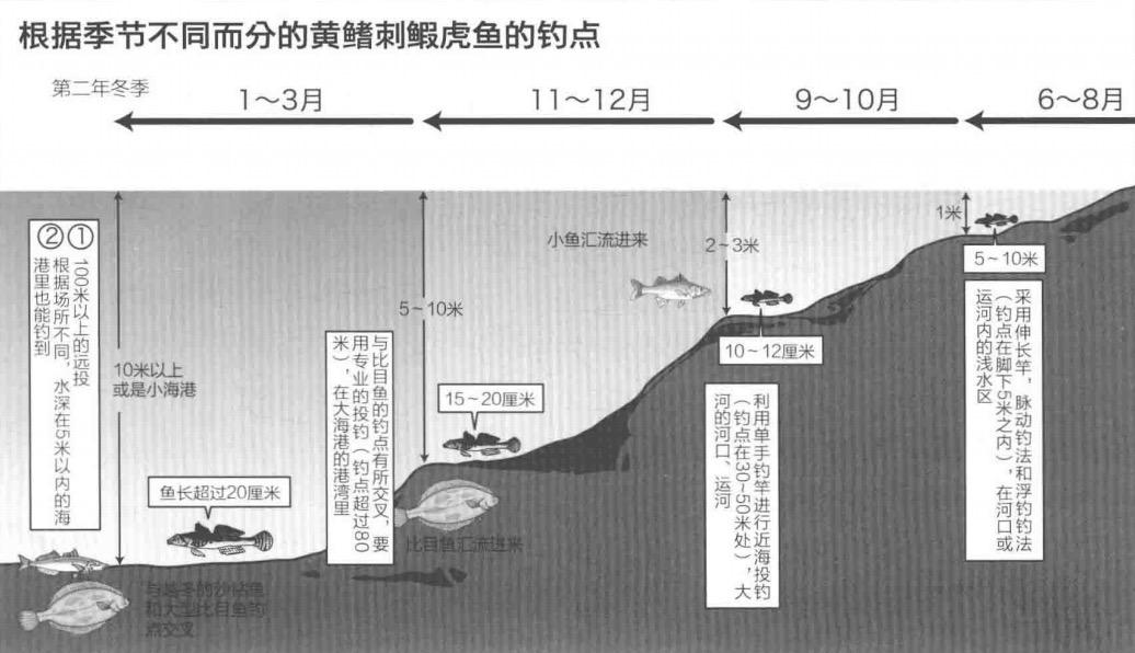 海钓新手油光鱼又名黄鳍刺鰕虎鱼「日本专业海钓入门投钓书籍」