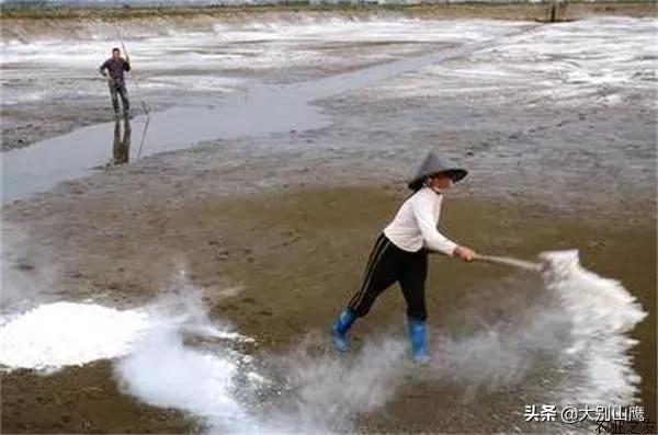 养鱼降低风险最好方法,养鱼不杀菌可以吗