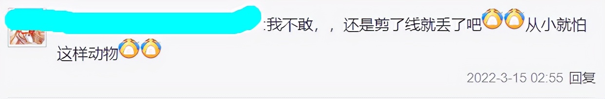 骞胯タ鐢峰瓙閽撲笂鎬奔,骞夸笢鐢峰瓙鍦ㄤ笢姹熼挀璧风綍瑙侀奔
