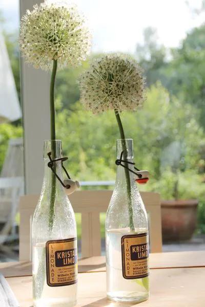 饮料瓶别再丢了,空饮料瓶别扔啦