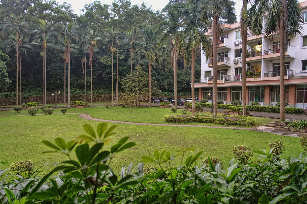 广东外语外贸大学是211还是985学校,广东外语外贸大学什么专业有前途