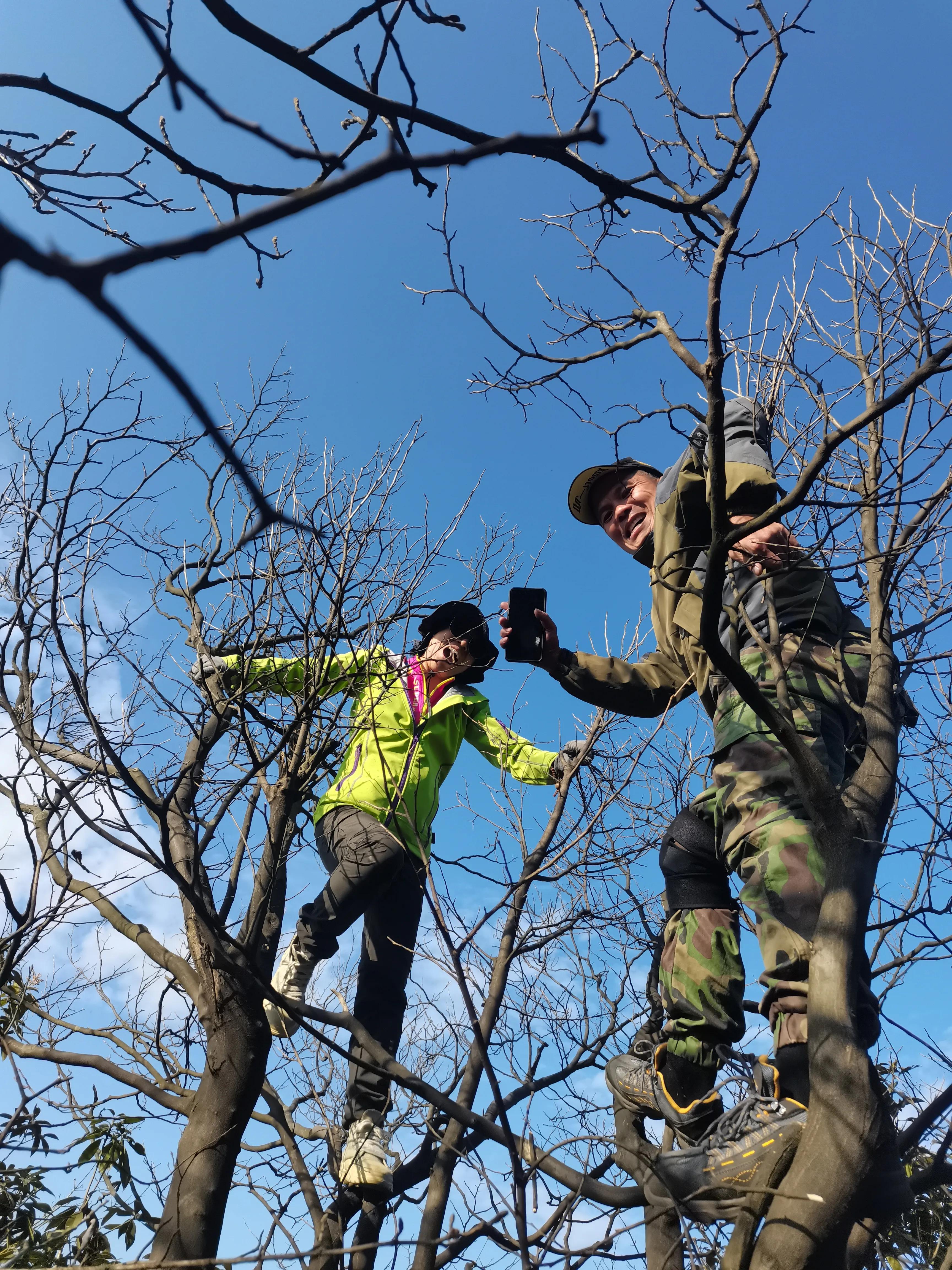 环岱山全程徒步要多久,新邵龙山自驾怎么走