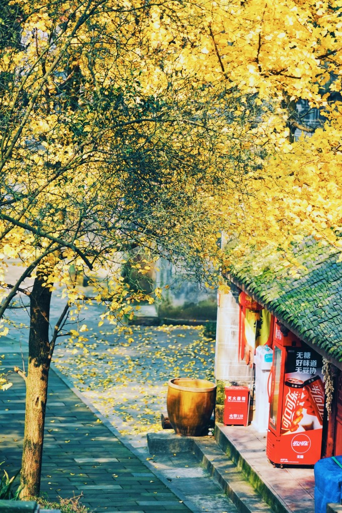 都江堰青城山路线攻略,都江堰青城山交通攻略