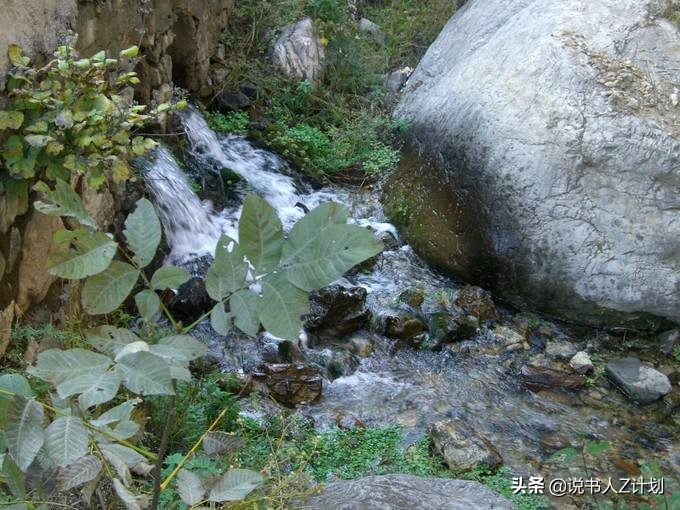 九十年代抓捕悍匪现场,90年代真实抓捕悍匪场面