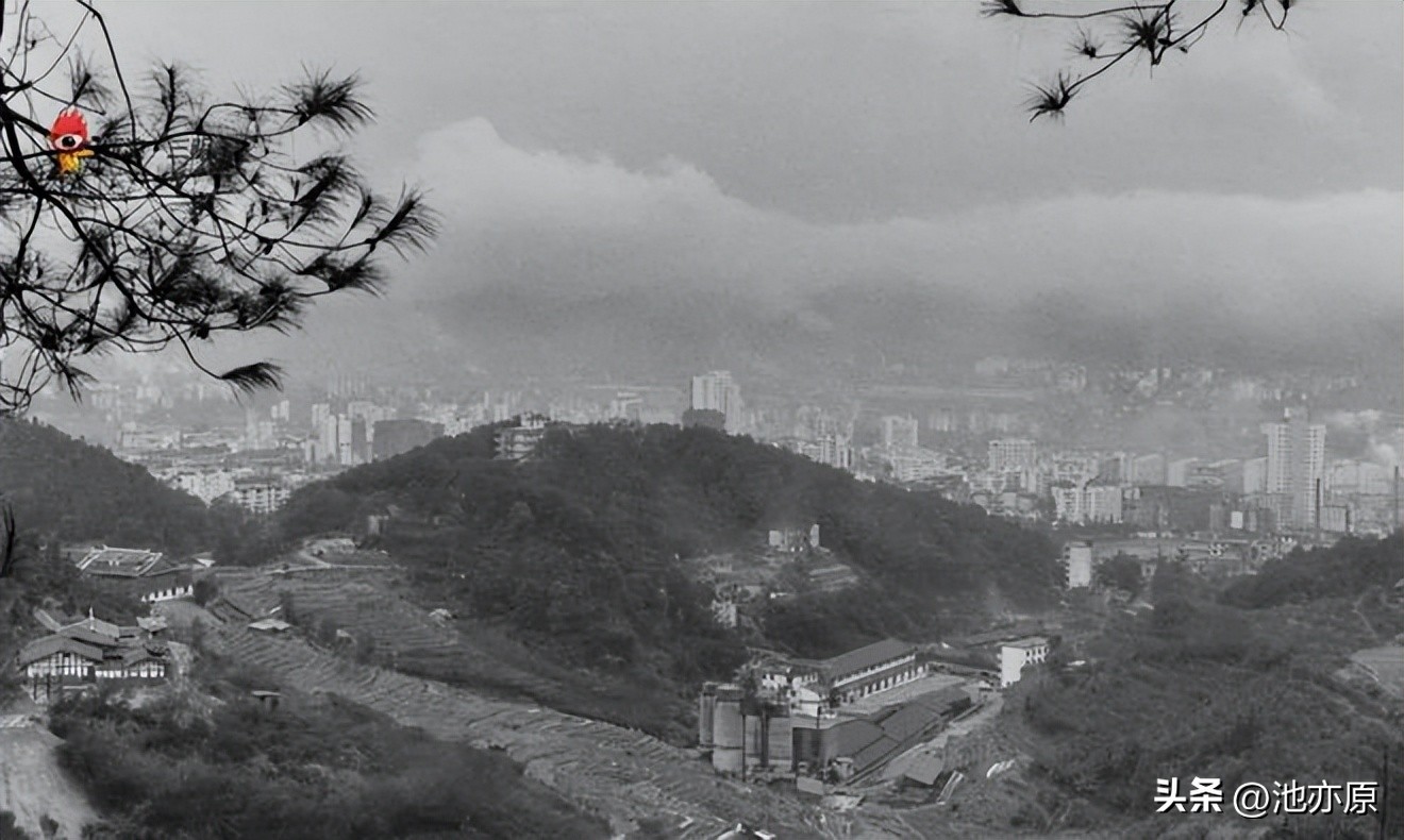 如梦令忆童年,如梦令记忆图