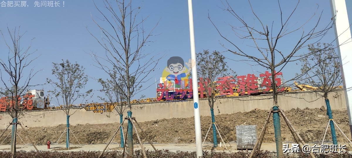 大力开发的滨湖西成色如何，班长跑遍16个项目带你看真实的板块