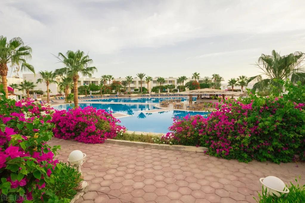 玫瑰花是爱情的象征还是祝福,玫瑰花表达爱情的最佳象征