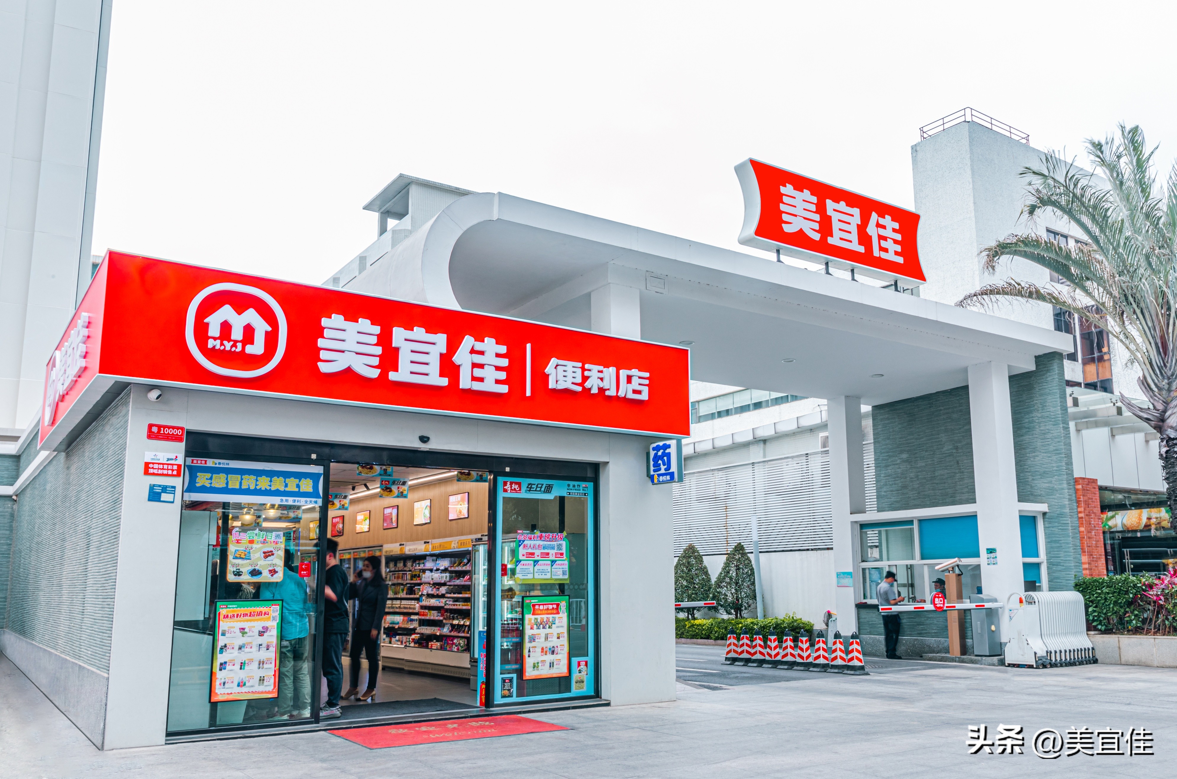 2019年后创业机会分析,2024年10个创业赚钱的机会