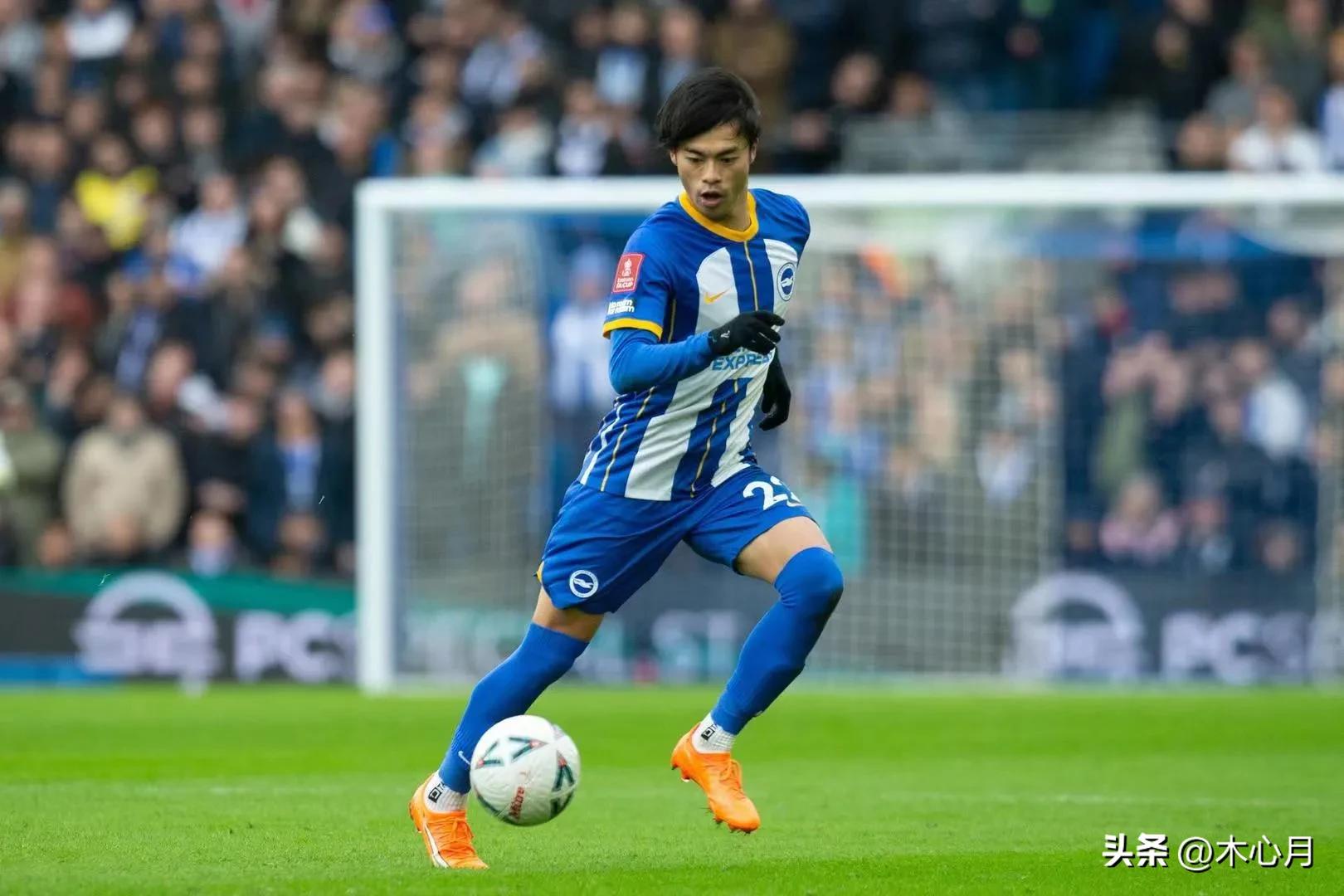 英超巡礼布莱顿,布莱顿本赛季英超表现