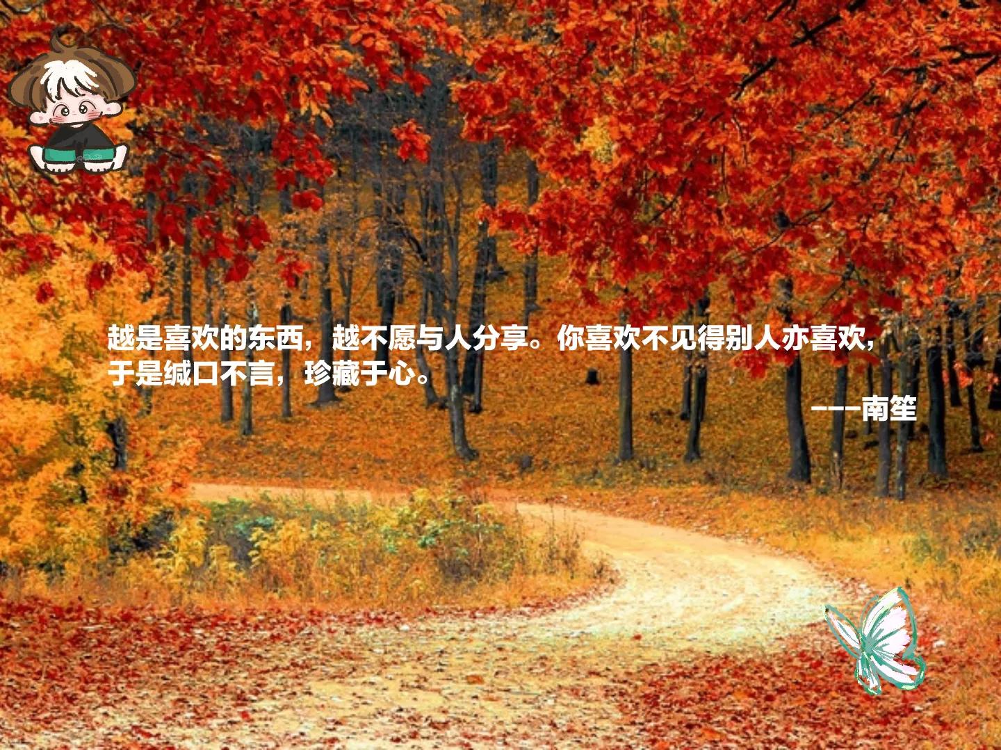 沙雕老公朋友圈文案的句子,发朋友圈的沙雕文案