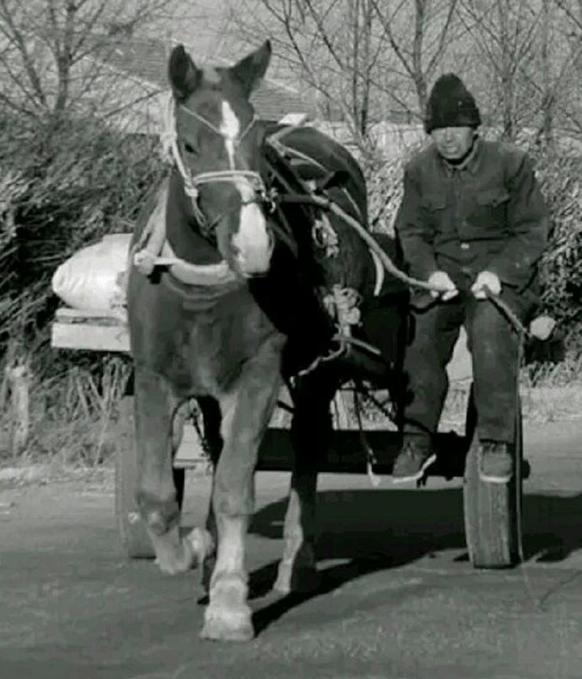 小说莲塘浮生,莲塘浮生小说最新章节