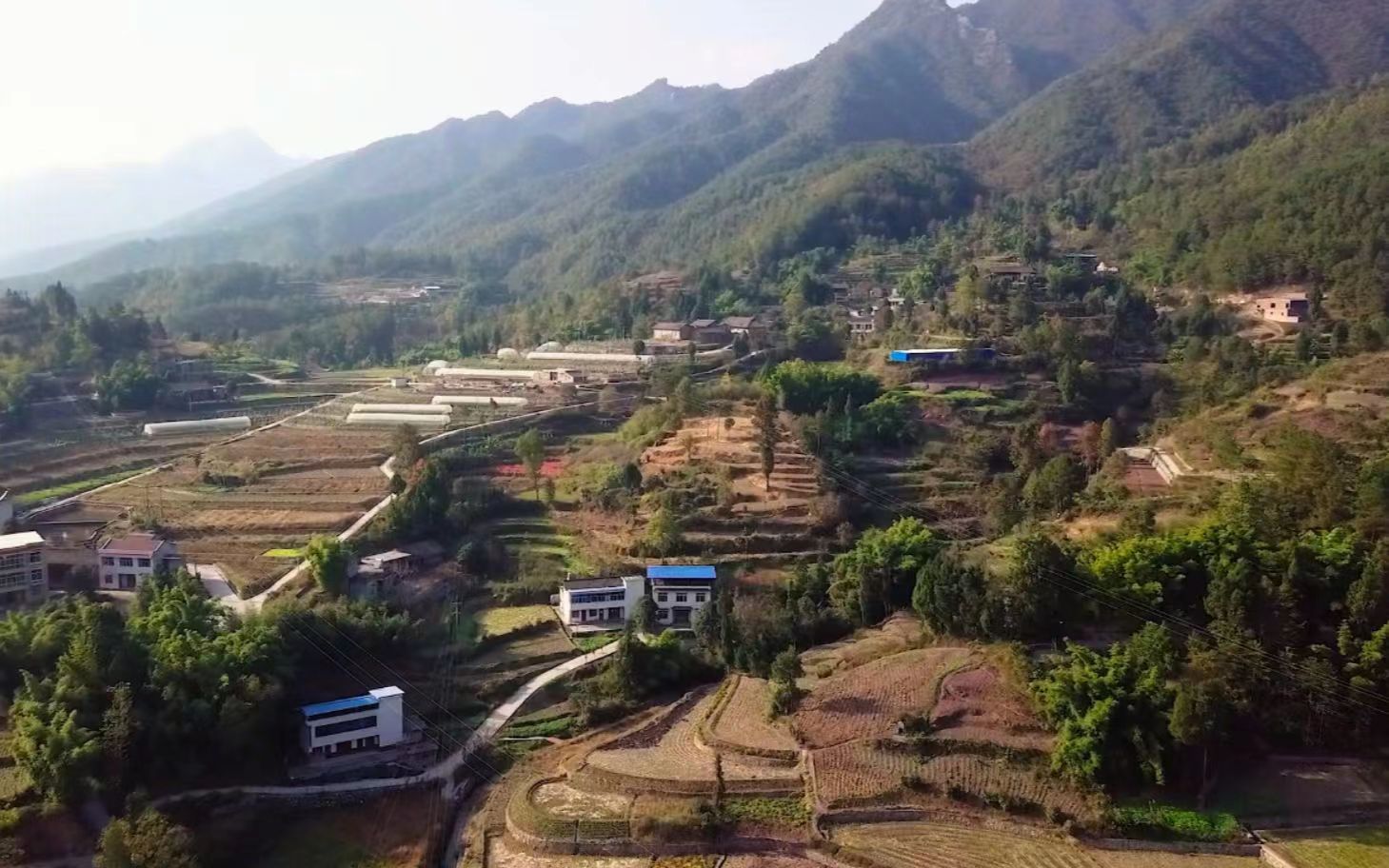 农村人在深圳摆摊能挣多少钱,摆摊卖干果生意好做吗