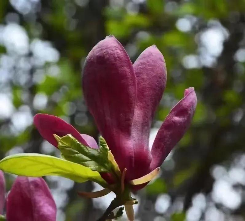 趣味答题赛介绍,趣味答题活动报道
