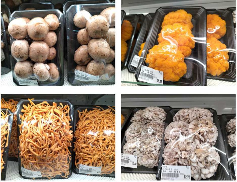 这些菌类你认识几种,这些食用菌之最你都知道吗