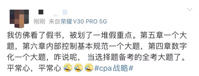 cpa审计二考,审计笔试考excel和word爱出的题