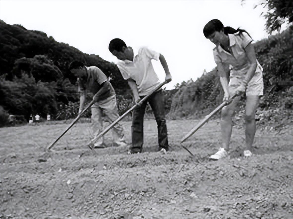 开网约车被处分的副镇长有新职务,安徽副镇长网约车事件后续