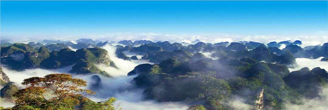 崇左是个怎么样的城市,崇左在哪里属于哪个省哪个市