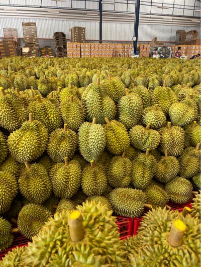 大润发五一特惠,大润发五一5折