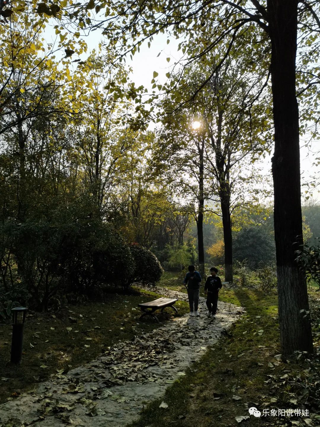 时间都去哪儿了小品完整版,时间都去哪儿了感悟