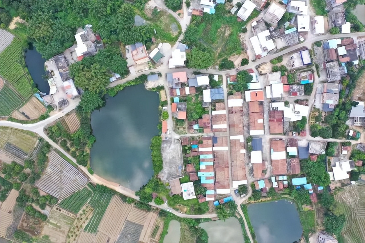 惠州仲恺高新区玳瑁村:打造养生“龟谷”,描绘美丽“潼画”