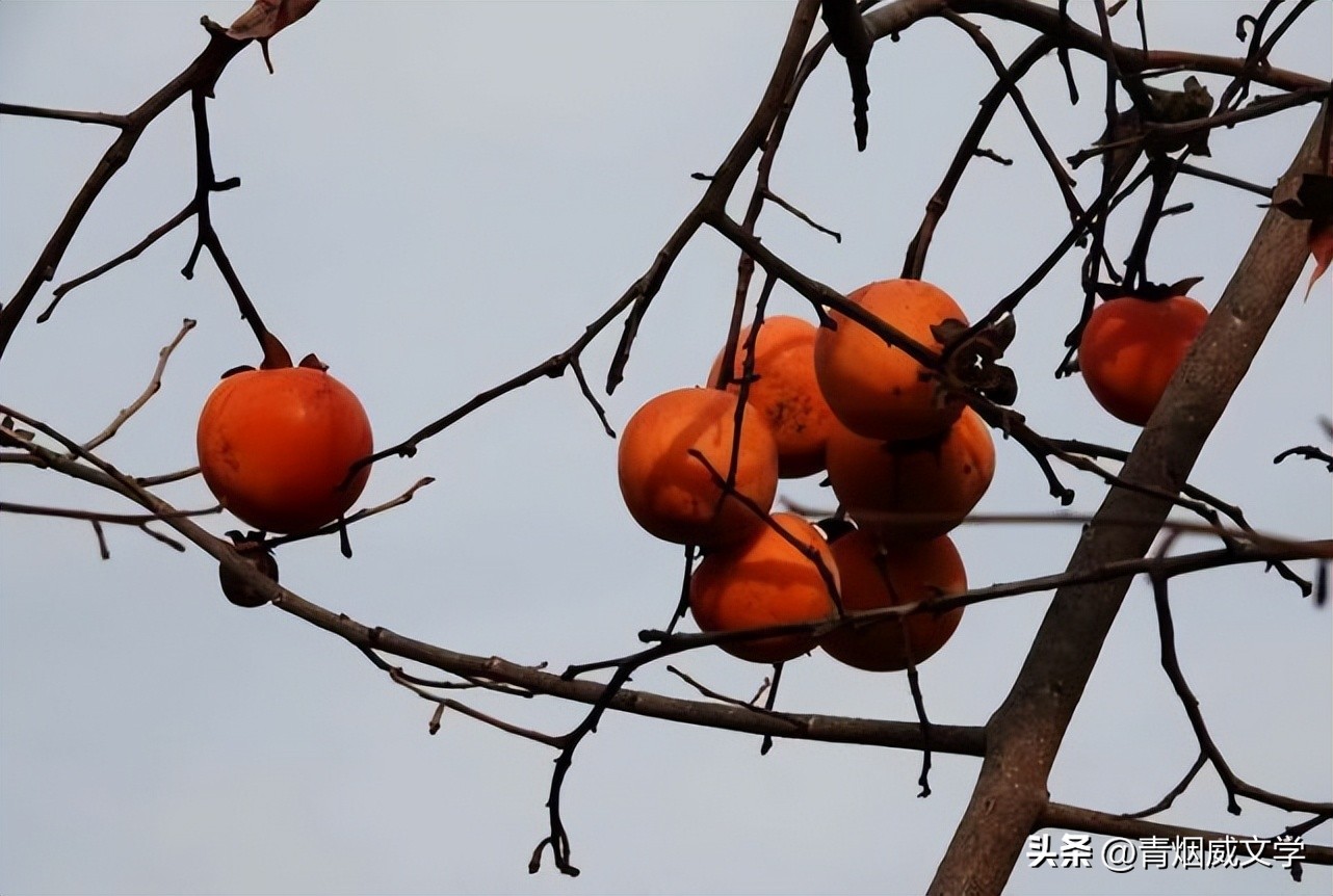 七律忆昔日往事,七律再忆儿时感怀诗