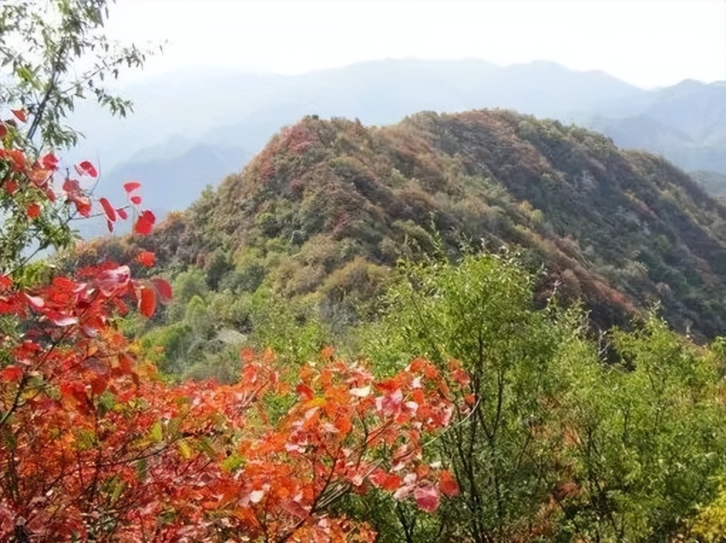 广州台山那琴半岛两日游,台山一日游必去景点牛山公园