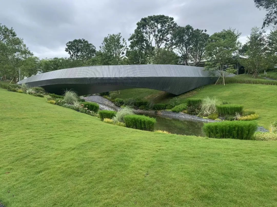 老婆背着我买奢侈品包,老婆背着我去旅游了