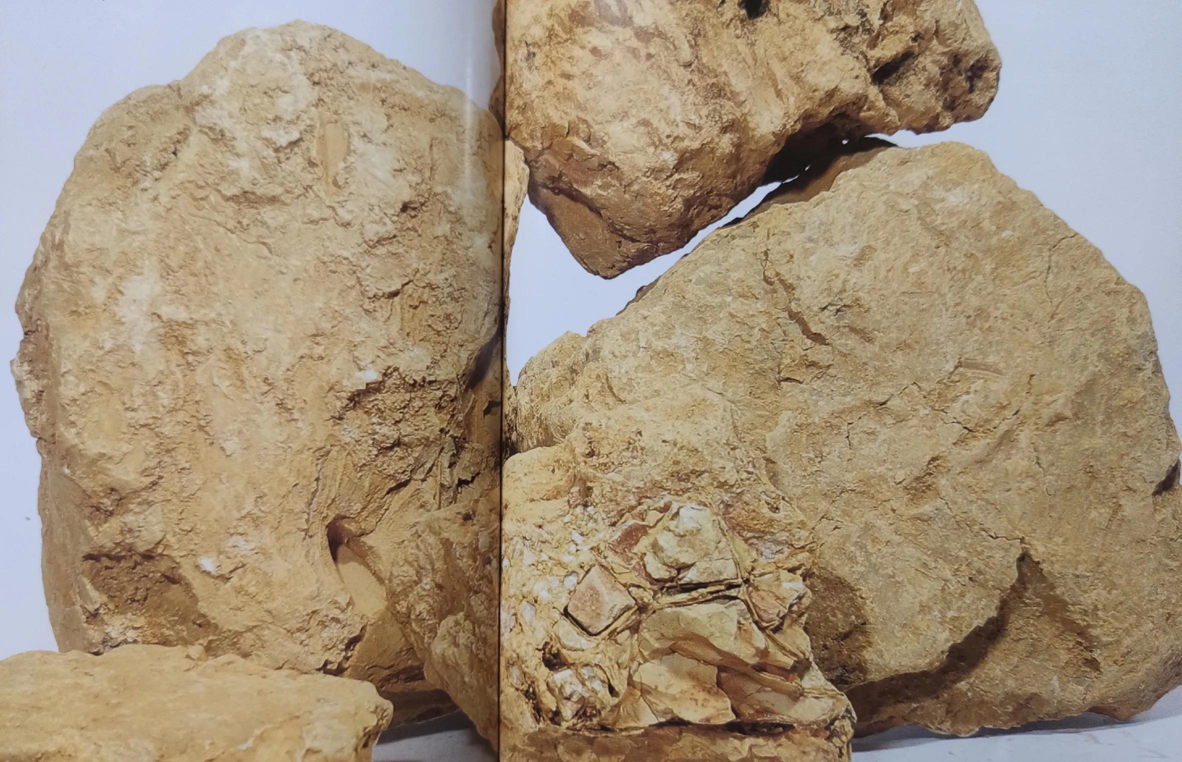 黄龙山朱泥和赵庄朱泥哪个更红艳,朱泥大红袍颜色很红艳吗