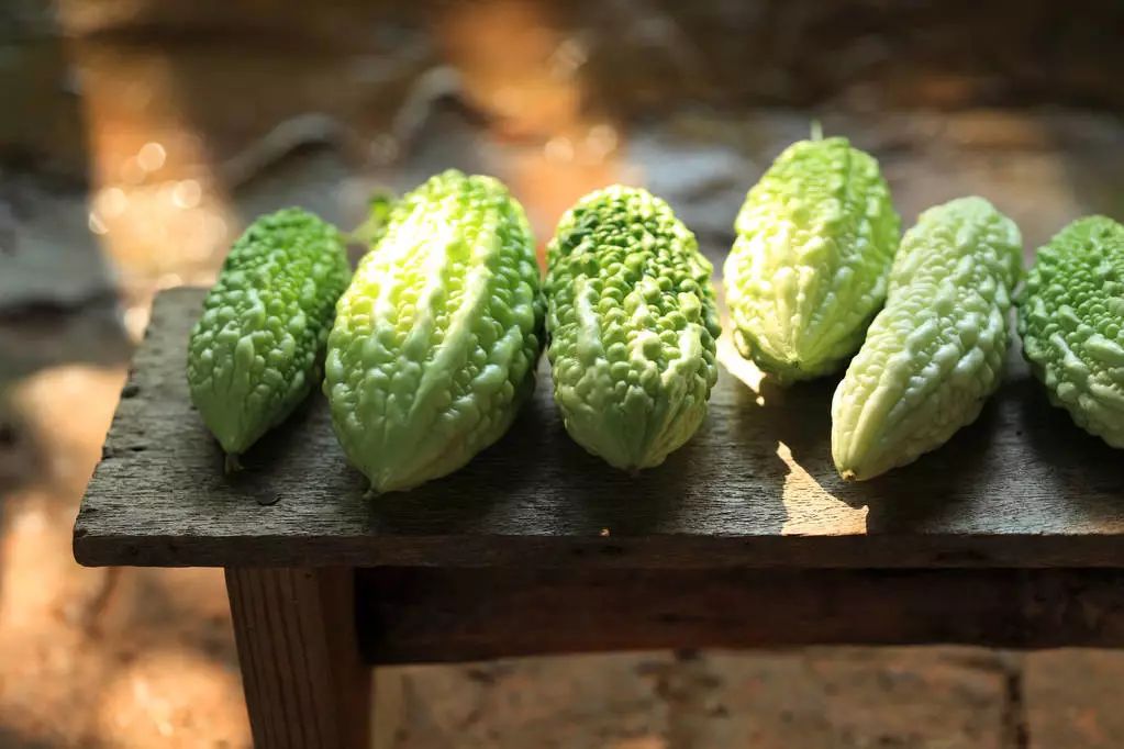 什么西瓜子适合减肥吃,西瓜减肥期间怎么吃好